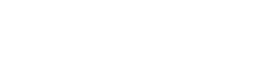 VRA USA Logo